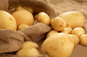 Nghiên cứu sản xuất bao bì từ vỏ khoai tây và trái cây